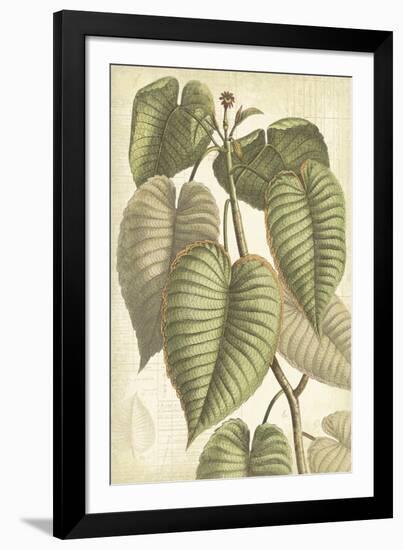 Botany Sketchbook IV-Maria Mendez-Framed Giclee Print