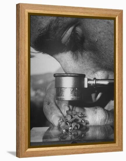 Botany Student Looking at a Flower Through a Microscope-Loomis Dean-Framed Premier Image Canvas