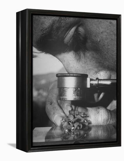 Botany Student Looking at a Flower Through a Microscope-Loomis Dean-Framed Premier Image Canvas