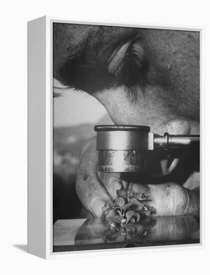 Botany Student Looking at a Flower Through a Microscope-Loomis Dean-Framed Premier Image Canvas