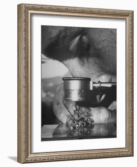 Botany Student Looking at a Flower Through a Microscope-Loomis Dean-Framed Photographic Print