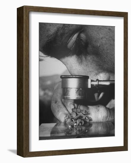 Botany Student Looking at a Flower Through a Microscope-Loomis Dean-Framed Photographic Print
