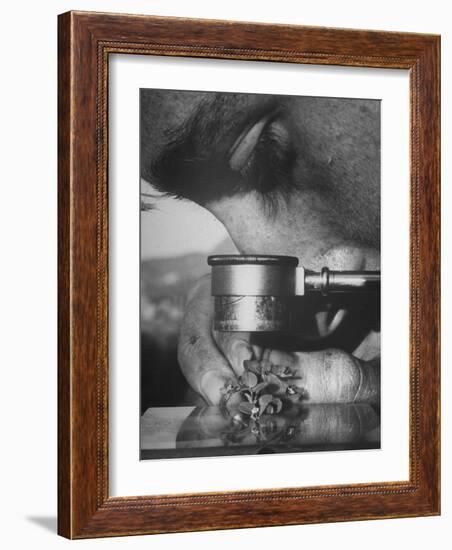 Botany Student Looking at a Flower Through a Microscope-Loomis Dean-Framed Photographic Print