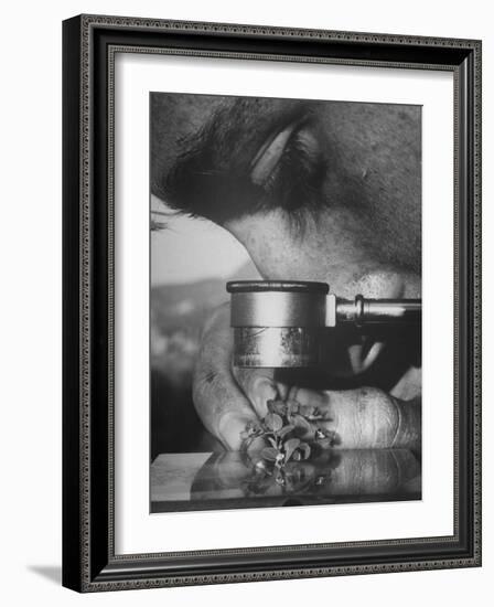 Botany Student Looking at a Flower Through a Microscope-Loomis Dean-Framed Photographic Print