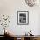 Botany Student Looking at a Flower Through a Microscope-Loomis Dean-Framed Photographic Print displayed on a wall