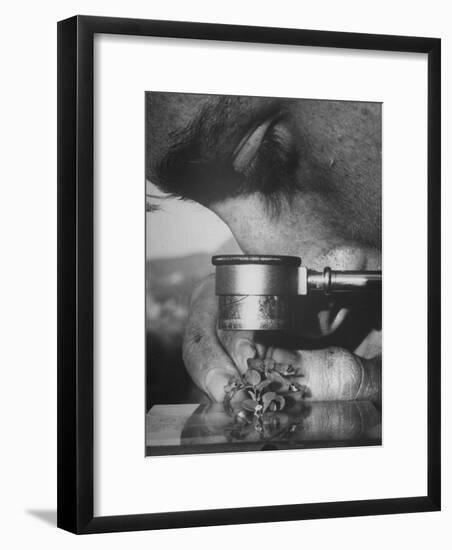 Botany Student Looking at a Flower Through a Microscope-Loomis Dean-Framed Photographic Print