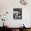 Botany Student Looking at a Flower Through a Microscope-Loomis Dean-Photographic Print displayed on a wall