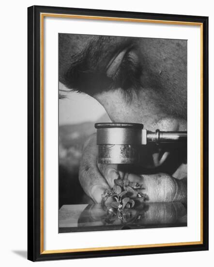 Botany Student Looking at a Flower Through a Microscope-Loomis Dean-Framed Photographic Print