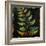 Botany Trip VI-Douglas-Framed Giclee Print