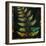 Botany Trip VI-Douglas-Framed Giclee Print