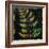 Botany Trip VI-Douglas-Framed Giclee Print