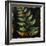 Botany Trip VI-Douglas-Framed Giclee Print