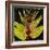 Botany Trip VIII-Douglas-Framed Giclee Print