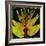 Botany Trip VIII-Douglas-Framed Giclee Print