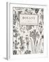Botany. Vintage Floral Card. Vector Illustration of Style Engravings. Black and White Flowers.-Olga Korneeva-Framed Art Print