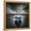 Bote Fugado Dark - Pop-Moises Levy-Framed Stretched Canvas