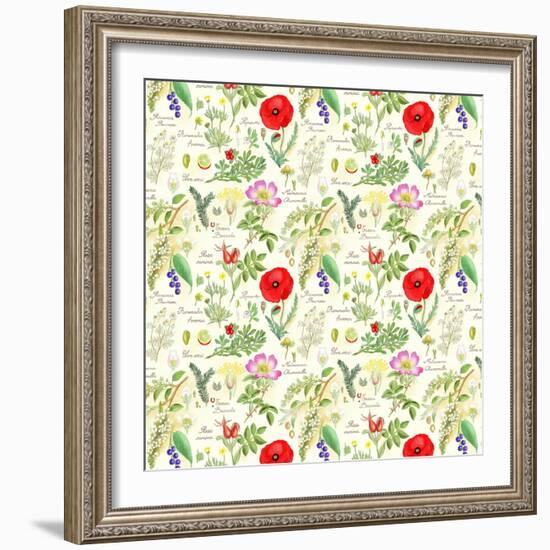 Bothanical Sketches-Gaia Marfurt-Framed Giclee Print