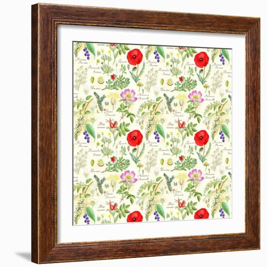 Bothanical Sketches-Gaia Marfurt-Framed Giclee Print