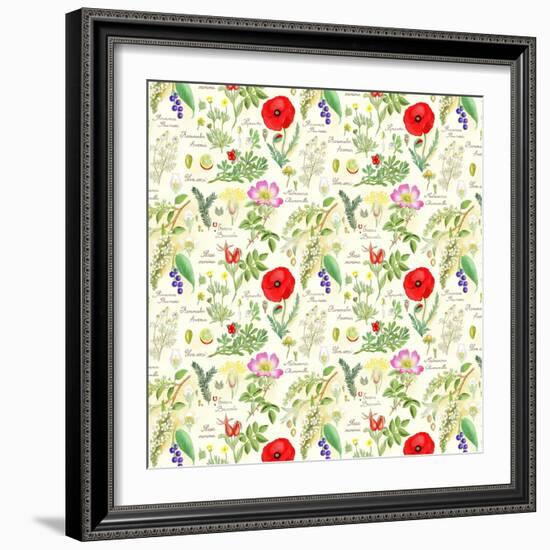 Bothanical Sketches-Gaia Marfurt-Framed Giclee Print