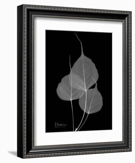 BoTree E158-Albert Koetsier-Framed Premium Giclee Print