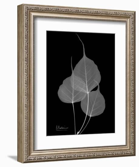 BoTree E158-Albert Koetsier-Framed Art Print