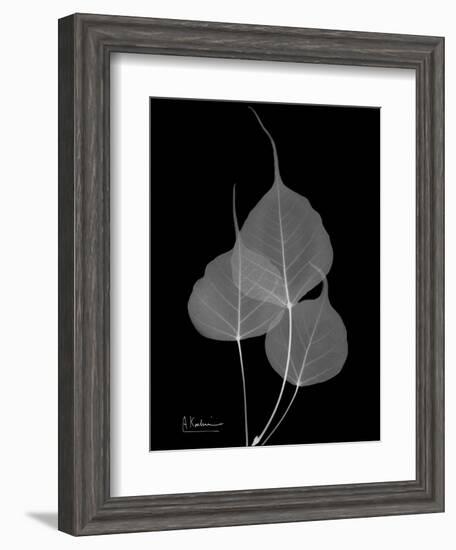 BoTree E158-Albert Koetsier-Framed Art Print