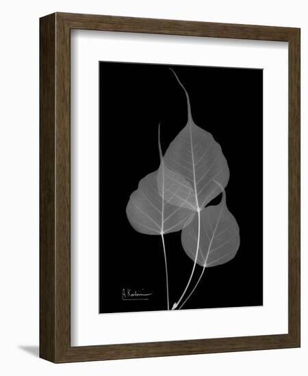 BoTree E158-Albert Koetsier-Framed Art Print