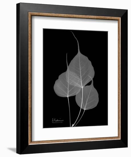 BoTree E158-Albert Koetsier-Framed Art Print