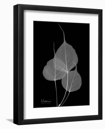 BoTree E158-Albert Koetsier-Framed Art Print