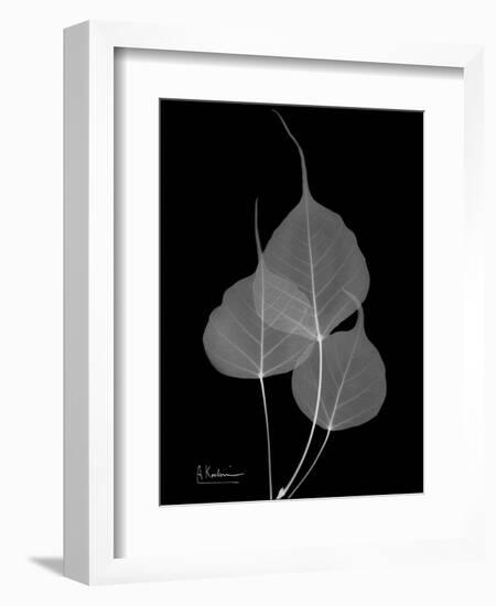 BoTree E158-Albert Koetsier-Framed Art Print