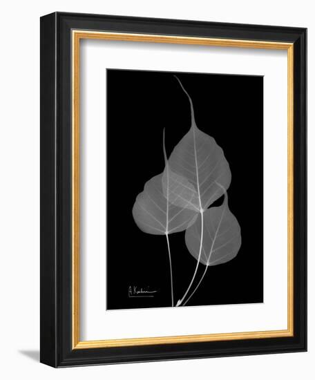 BoTree E158-Albert Koetsier-Framed Art Print