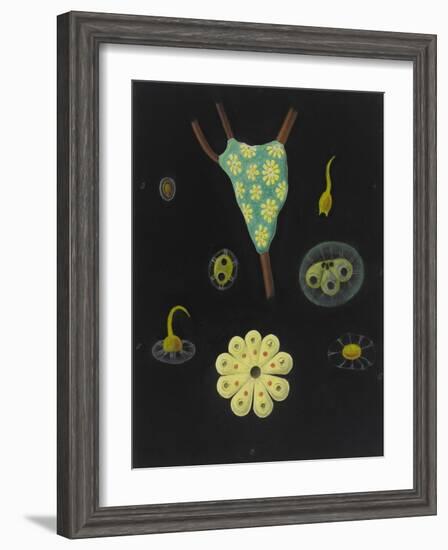 Botryllus Schlosseri: Star Ascidian-Philip Henry Gosse-Framed Giclee Print