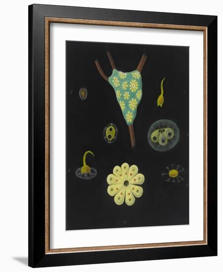 Botryllus Schlosseri: Star Ascidian-Philip Henry Gosse-Framed Giclee Print