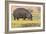 Botswana. Chobe National Park. Hippo Grazing Near the Chobe River-Inger Hogstrom-Framed Photographic Print