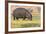 Botswana. Chobe National Park. Hippo Grazing Near the Chobe River-Inger Hogstrom-Framed Photographic Print