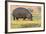 Botswana. Chobe National Park. Hippo Grazing Near the Chobe River-Inger Hogstrom-Framed Photographic Print