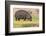 Botswana. Chobe National Park. Hippo Grazing Near the Chobe River-Inger Hogstrom-Framed Photographic Print