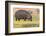 Botswana. Chobe National Park. Hippo Grazing Near the Chobe River-Inger Hogstrom-Framed Photographic Print