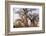 Botswana. Chobe National Park. Savuti. Baobab Trees with Branches Like Gnarled Hands-Inger Hogstrom-Framed Photographic Print