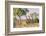 Botswana. Chobe National Park. Savuti. Giraffes Intently Watching a Hidden Lion in the Bush-Inger Hogstrom-Framed Photographic Print