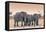 Botswana. Chobe National Park. Savuti. Harvey's Pan. Elephants Drinking at a Water Hole at Sunset-Inger Hogstrom-Framed Premier Image Canvas