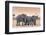 Botswana. Chobe National Park. Savuti. Harvey's Pan. Elephants Drinking at a Water Hole at Sunset-Inger Hogstrom-Framed Photographic Print