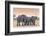 Botswana. Chobe National Park. Savuti. Harvey's Pan. Elephants Drinking at a Water Hole at Sunset-Inger Hogstrom-Framed Photographic Print