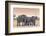 Botswana. Chobe National Park. Savuti. Harvey's Pan. Elephants Drinking at a Water Hole at Sunset-Inger Hogstrom-Framed Photographic Print