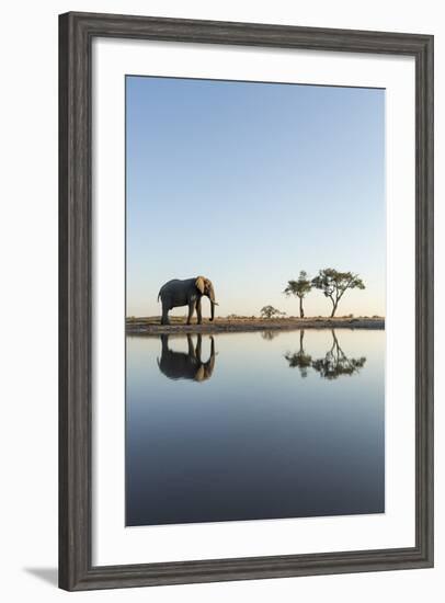 Botswana, Chobe NP, African Elephant at Water Hole in Savuti Marsh-Paul Souders-Framed Photographic Print