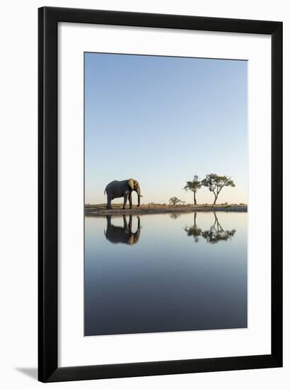 Botswana, Chobe NP, African Elephant at Water Hole in Savuti Marsh-Paul Souders-Framed Photographic Print