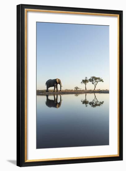 Botswana, Chobe NP, African Elephant at Water Hole in Savuti Marsh-Paul Souders-Framed Photographic Print