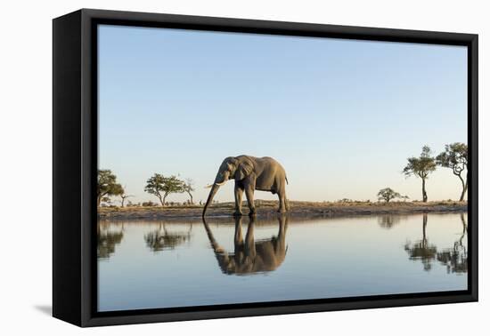 Botswana, Chobe NP, African Elephant at Water Hole in Savuti Marsh-Paul Souders-Framed Premier Image Canvas