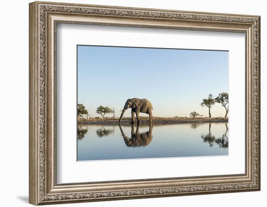 Botswana, Chobe NP, African Elephant at Water Hole in Savuti Marsh-Paul Souders-Framed Photographic Print