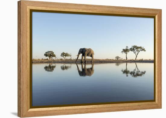 Botswana, Chobe NP, African Elephant at Water Hole in Savuti Marsh-Paul Souders-Framed Premier Image Canvas